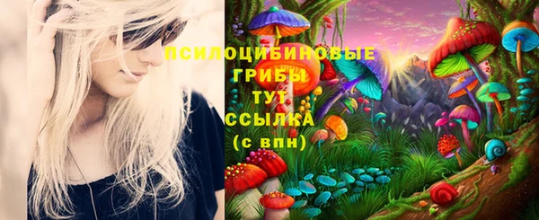 прущий лед Бронницы