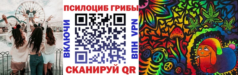 Купить где  Унеча  Галлюциногенные грибы Magic Shrooms 